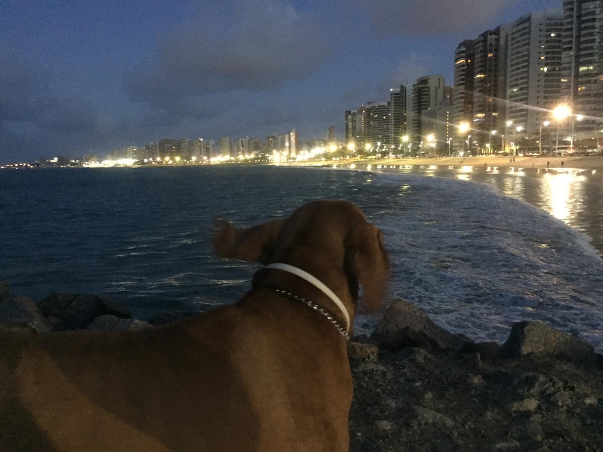 Apartamento Na Melhor Localizacao De Fortaleza!! 外观 照片