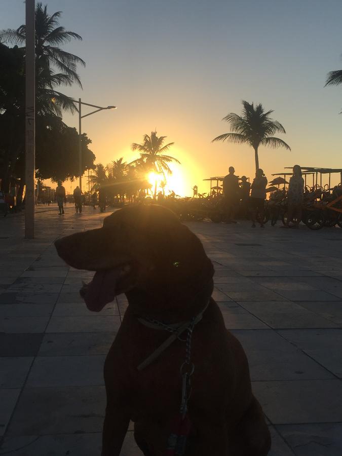 Apartamento Na Melhor Localizacao De Fortaleza!! 外观 照片